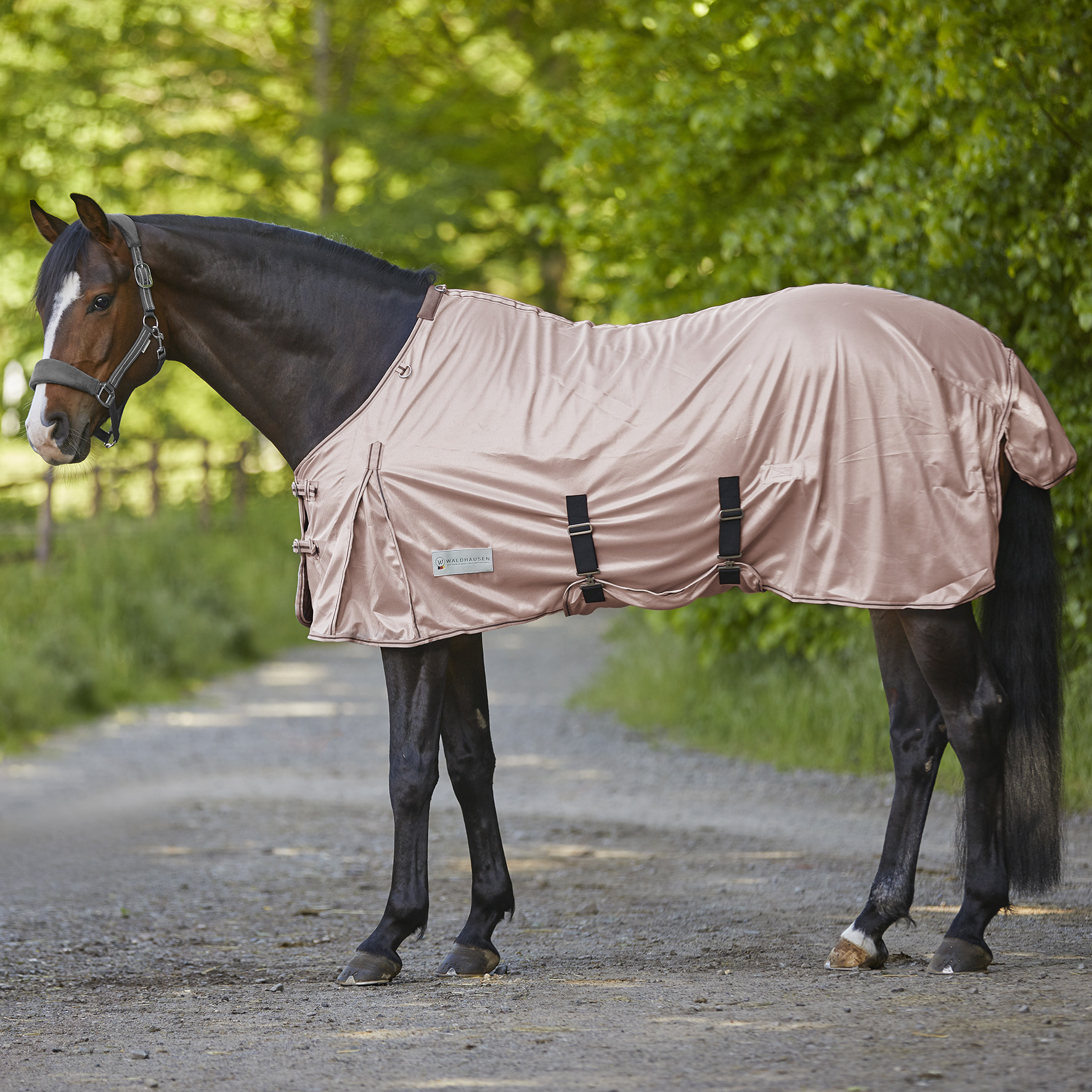 Coperta impermeabile in Softshell – Waldhausen – Alexandra Saddlery