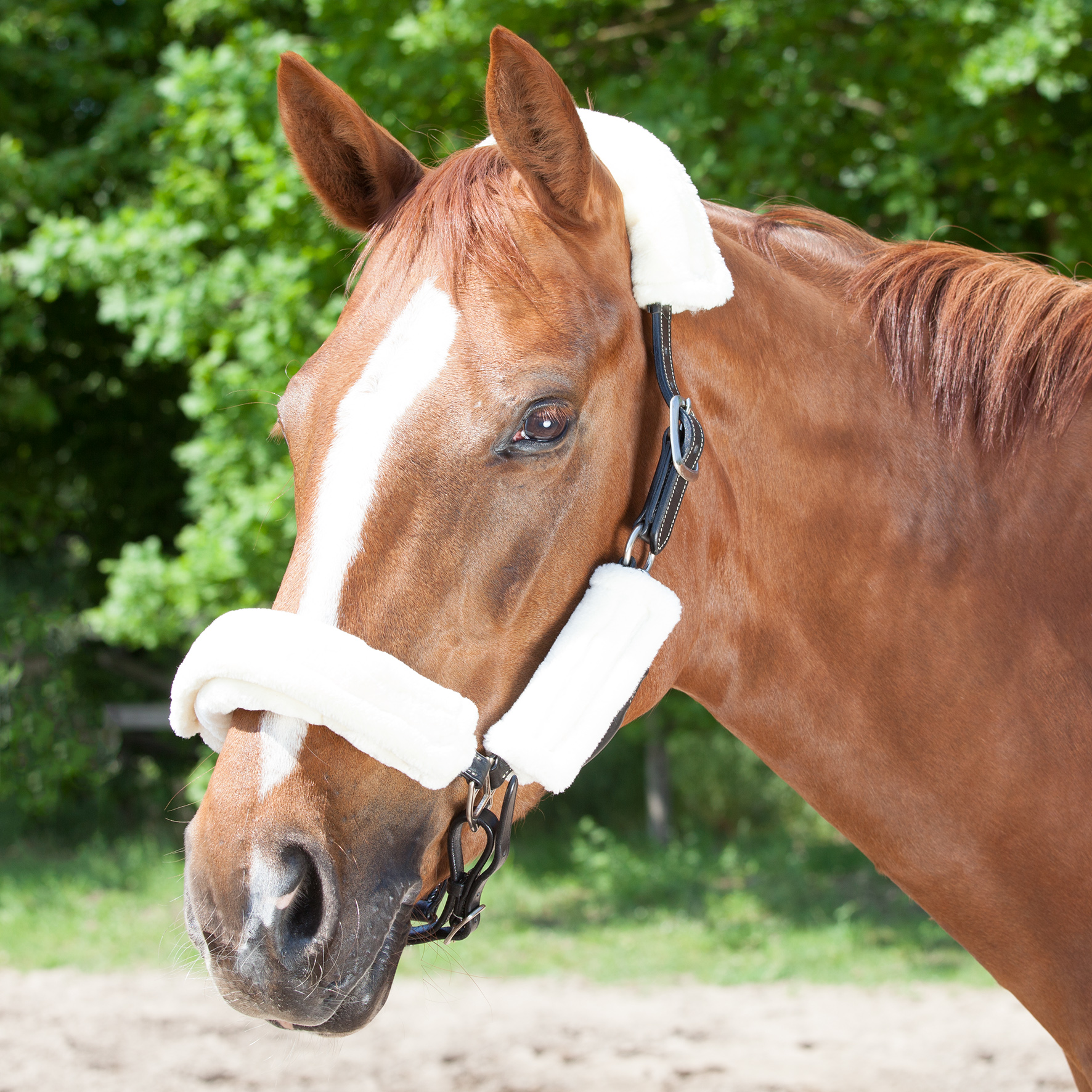 Imbottitura in agnellino per capezzina o sovracapo – Waldhausen – Alexandra  Saddlery