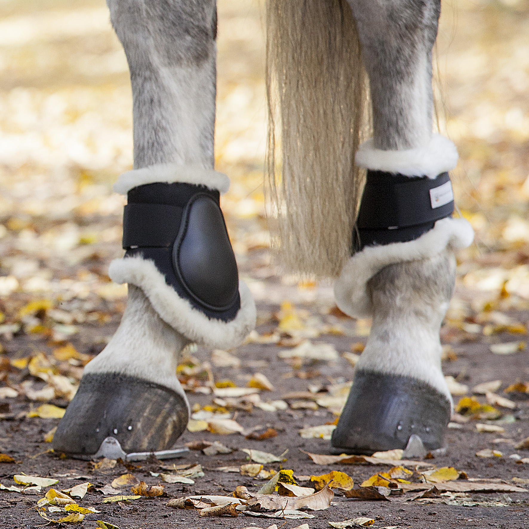 STIVALE DA EQUITAZIONE PORTLAND POLO – Waldhausen – Alexandra Saddlery